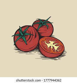 Hand drawn tomatoes vector illustration with engraved vintage style, red tomatoes, healthy food, vitamin on food, isolated background.