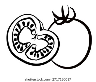 Ilustração de vetor de tomates desenhados à mão no design isolado do estilo doodle. 