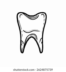 Hand drawn tooth vector Illustration isolated on white background. Graphic Style, Cartoon Illustration, Black and White, Sketch Style