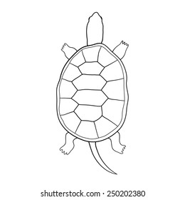 Hand drawn tortoise illustration in cartoon style. The contour of the turtle. Coloring. Isolated. On a white background