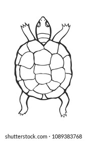 Hand drawn tortoise illustration in sketch style. The contour of the turtle. Coloring. Isolated. On a white background