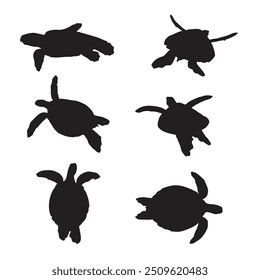 Hand drawn tortoise silhouette set