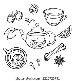 Hand drawn transparent tea pot with tea cups, herbs, fruits and spices. Tea set of design elements in doodle style: mint, chamomille, raspberry, lemon, cinnamon, carnation, anise