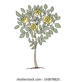 hand drawn tree
