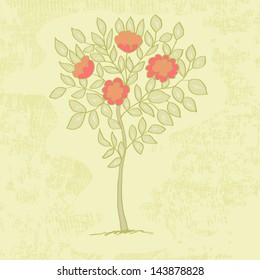 hand drawn tree