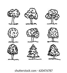 Hand Drawn Tree Stock Vector (Royalty Free) 620476787 | Shutterstock