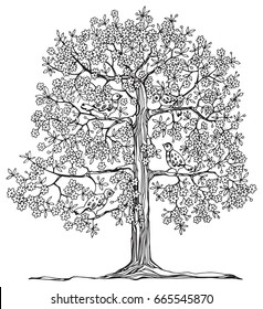 Hand drawn tree with birds, vector illustration