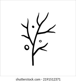 Hand drawn tree branch,, autumn element. Vector illustration in Doodle style. Isolated on white.