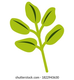 Hand drawn tree branch with leaves isolated. Yellow and green. Autumn and summer. Nature and ecology. Doodle cartoon. Botanical sketch. For templates, postcards, scrapbooking, prints and patterns