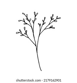Hand drawn tree branch with leaves, vector doodle