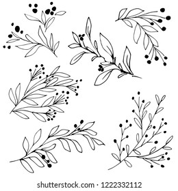 Hand drawn tree branches with berries. Black and white botanical illustration. Graphic design elements. Vector image