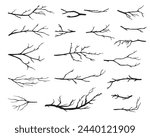 Hand drawn tree branches collection, dry tree branches on white background