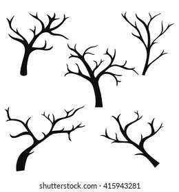 hand drawn tree branches, collection set of tree branch, tree branch elements, vector illustration, graphic design