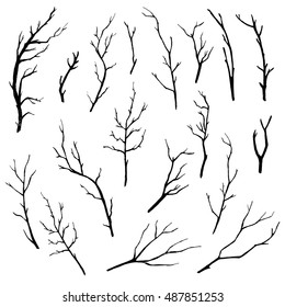Hand drawn tree branches collection. Vector illustration.
