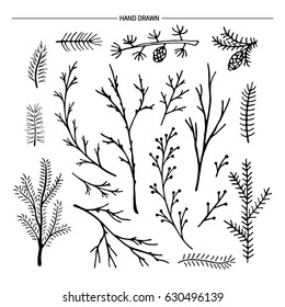 Hand drawn tree branches collection. Vector illustration. 