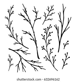 Hand drawn tree branches collection. Vector illustration. 