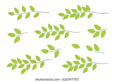 hand drawn tree branches with green leaves set.