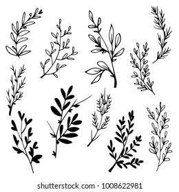 Hand drawn tree branches with leaves. Black and white vector illustration