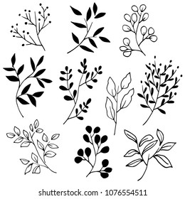 Hand drawn tree branches with leaves and berries. Black and white vector illustration. Botanical set