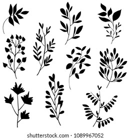 Hand drawn tree branches with leaves. Decorative branch silhouettes. Botanical illustration. Vector image