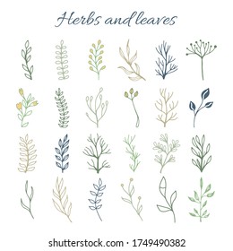 Ramas de árbol dibujadas a mano y hojas set ilustración de vector