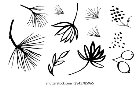 Hand drawn tree branches and leaves vector set. Ink drawing cedar and palm tree. Brush painted botanical elements. Black and white floral artistic collection.  Leaves, needles, berries. 