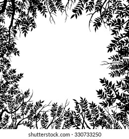 Hand drawn tree and branches silhouette. Detailed vector illustration.