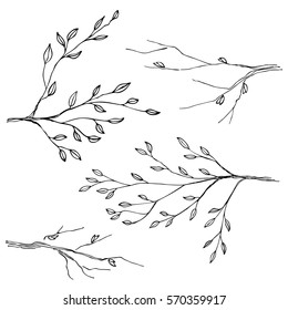 Hand drawn tree branches; vector set