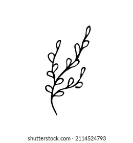 Hand drawn tree branches,vector doodle botanical element