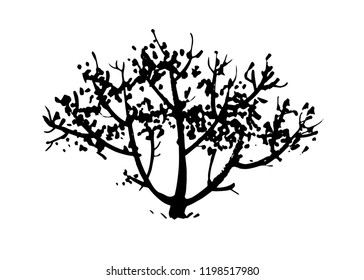 Hand drawn tree, bush silhouette. Ink vector illustration isolated on white background.