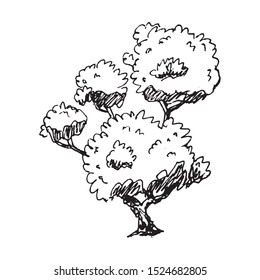 Hand Drawn tree doodle. Sketch style icon. Decoration element. Isolated on white background. Flat design. Vector illustration.