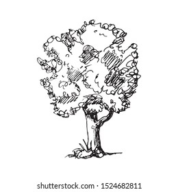 Hand Drawn tree doodle. Sketch style icon. Decoration element. Isolated on white background. Flat design. Vector illustration.