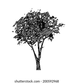 Hand drawn tree. Drawing illustration vector.