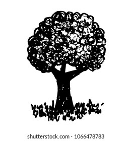 Hand drawn tree icon
