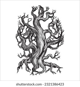 Hand drawn tree illustration, Pine tree, Forest drawing, graphic illustration, forest design elements, nature design