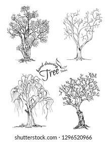 Hand drawn tree isolated on white background. Sketch, vector illustration.