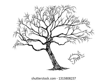 Hand drawn tree isolated on white background. Sketch, vector illustration.