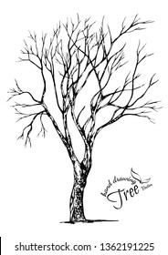 Hand drawn tree isolated on white background. Sketch, vector illustration.