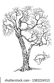 Hand drawn tree isolated on white background. Sketch, vector illustration.