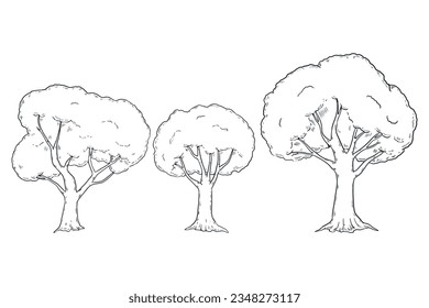 Hand drawn tree. Tree isolated on white background. Tree Sketch. vector illustration. Tree outline illustration. Trees line art drawing.