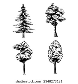 Hand drawn tree. Tree isolated on white background. Tree Sketch. vector illustration. Tree outline illustration. Trees line art drawing.