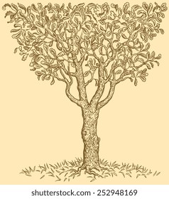 Hand drawn tree isolated on color background .8 EPS 
