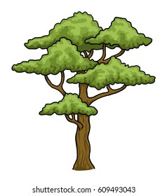 Hand drawn, tree, isolated on white, vector illustration