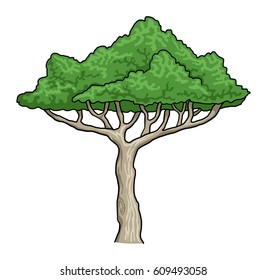 Hand drawn, tree, isolated on white, vector illustration