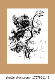 Hand drawn tree isolated. Vector monochrome freehand linear ink drawn backdrop sketchy in art scribble antique style pen on paper.