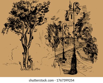 Hand drawn tree isolated. Vector monochrome freehand linear ink drawn backdrop sketchy in art scribble antique style pen on paper.