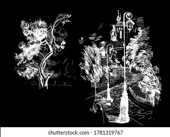 Hand drawn tree isolated. Vector monochrome freehand linear ink drawn backdrop sketchy in art scribble antique style pen on paper.