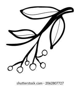 Hand drawn tree leaf illustration in doodle style.