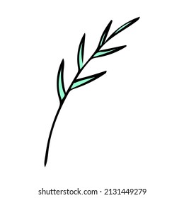 Handgezeichnetes Baumblatt. Dekorelement für Pflanzenkizzen Botanische Linienkunst, Vektorgrafik