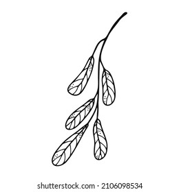Hand drawn tree leaf, twig, floral element on a white isolated background. Doodle, simple outline illustration. It can be used for decoration of textile, paper and other surfaces.